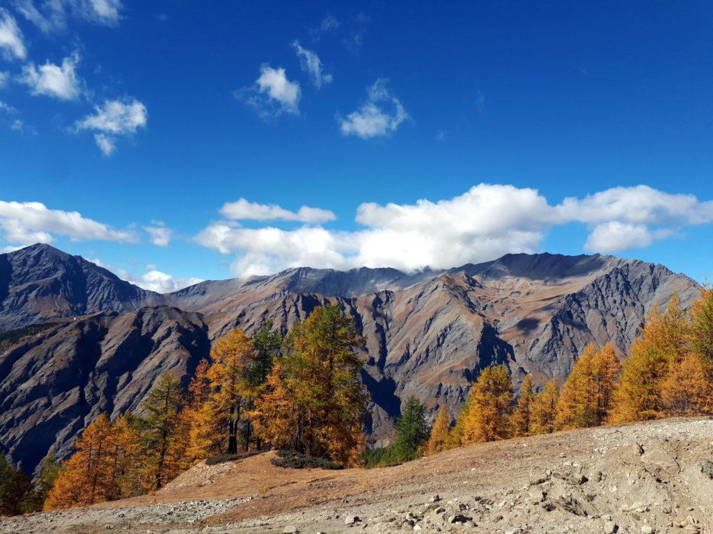 qui saltiamo al pomeriggio. Siamo sullo Jafferau e stiamo risalendo in fuoristrada lungo lo sterrato che rimonta le piste da sci. Percorso da brivido con pendenze.....aiuto!!