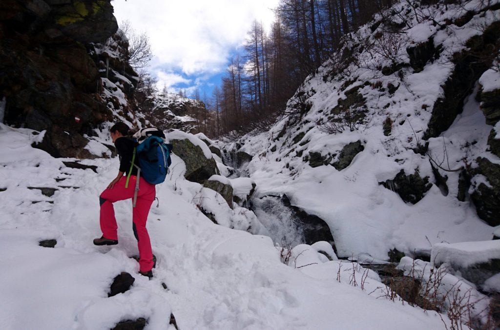 Erica a poche centinaia di metri dal pianone dove risiede il rifugio