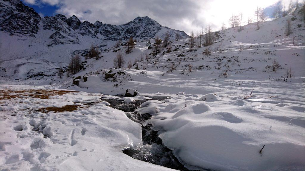 L'alpe Angeloga con il pizzo Stella sullo sfondo