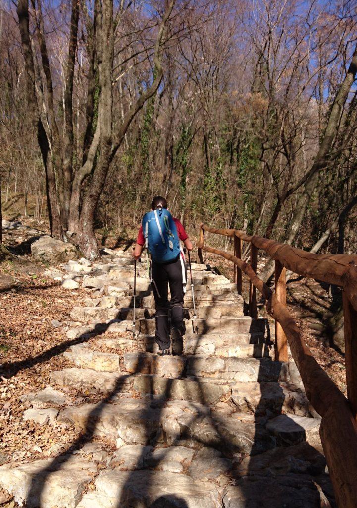 Dalla località Pozzo di Civate, si segue la mulattiera in direzione del Monastero di San Pietro al Monte, fatta di taaaaanti bei gradoni di pietra