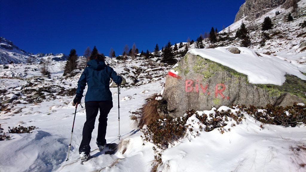 Attorno a quota 1900mt si esce in questa seconda radura dove sorge la ex Baita dei Fiori, un antico pascolo ormai in disuso