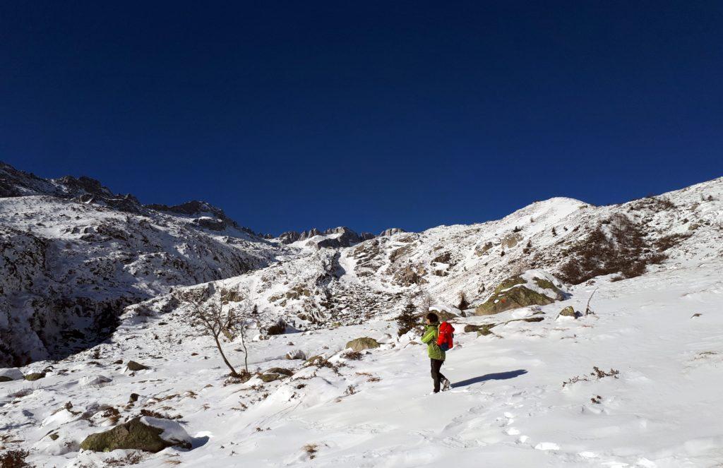 Si intravede la cima Presanella sullo sfondo. Noi intanto iniziamo ad avere la neve fino quasi alle ginocchia