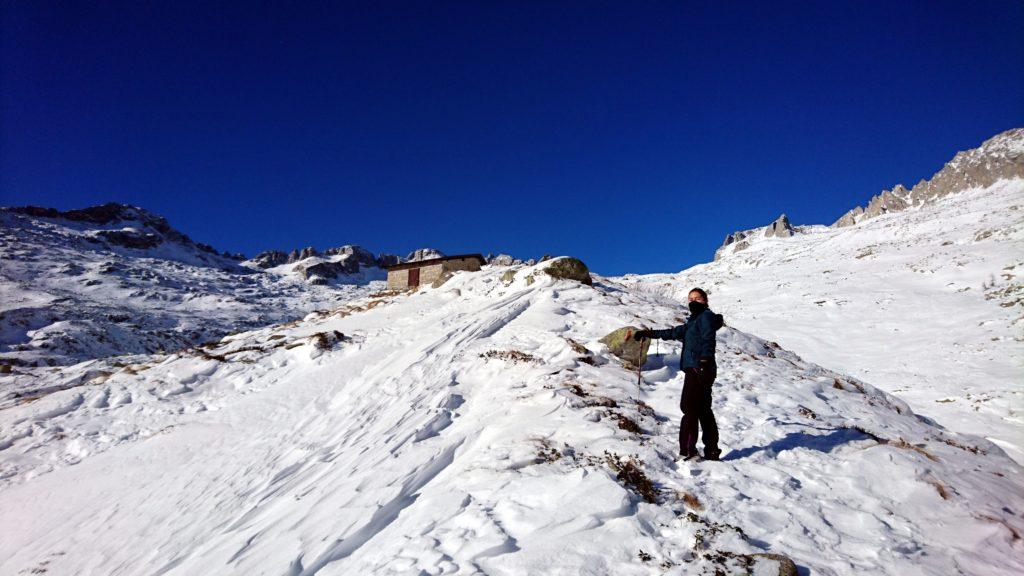 Erica sul tratto finale di cresta che porta al bivacco Roberti. Oggi quassù tira un vento gelido che ve lo raccomando