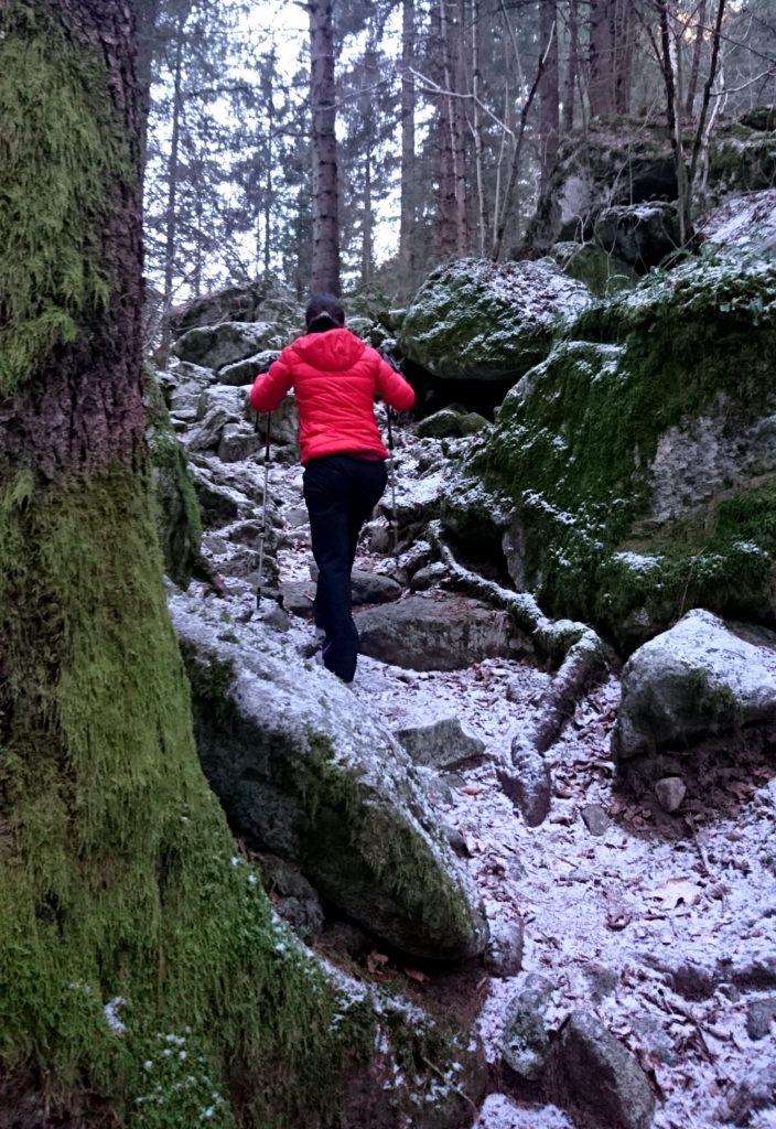 La prima parte di bosco è immersa nella brina e nel muschio. Ambiente surreale