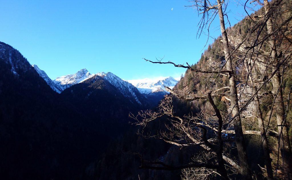 Verso metà bosco si iniziano a vedere in lontananza il Monte Ospedale (punta di sinistra) e il Crozzon di Lares (punta di destra)