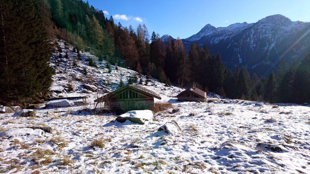 In un'ora di discesa rapida ragggiungiamo di nuovo la malga di Nardis dove ci fermeremo qualche minuto