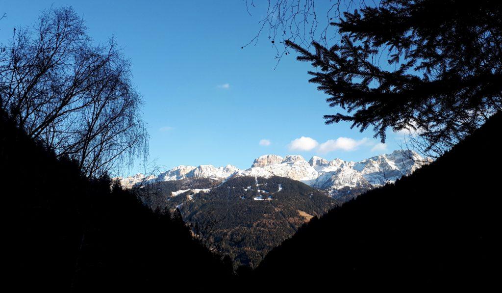 Vista del Brenta dal bosco di discesa. Al centro, il Crozzon del Brenta e la Cima Tosa