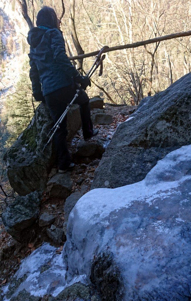 A tratti la salita nel bosco presenta qualche punto ghiacciato, ma niente di difficile