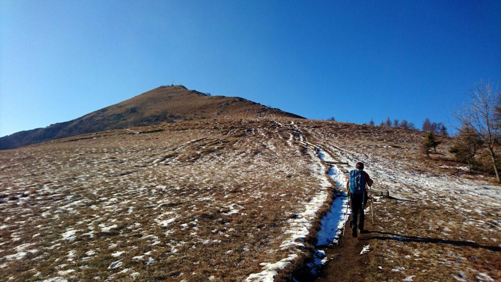 Dopo altri 40 minuti circa, raggiungiamo il rifugio. Non ci fermiamo, se non per prenotare il pranzo. Proseguiamo invece verso la cima del Cornizzolo che si raggiunge in altri 10 minuti di cammino