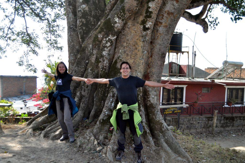 questo tipo di albero è sacro a Shiva e quindi se ne trovano di bellissimi e molto antichi