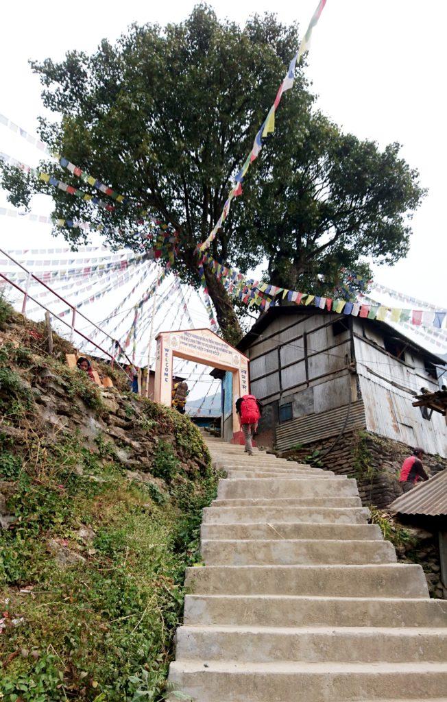 la lunga scalinata che porta in cima alla collina dove si trova un piccolo borgo e la scuola dei bambini