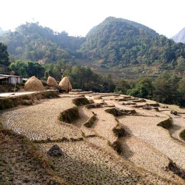 Annapurna Circuit Trek, parte I – Tropici d’alta quota