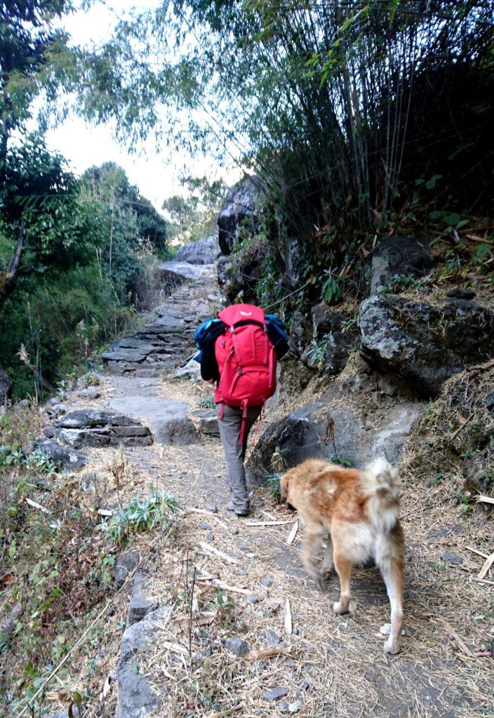 A Nache si riattraversa nuovamente il fiume e questo cane decide di seguirci....almeno fino al prossimo guado!