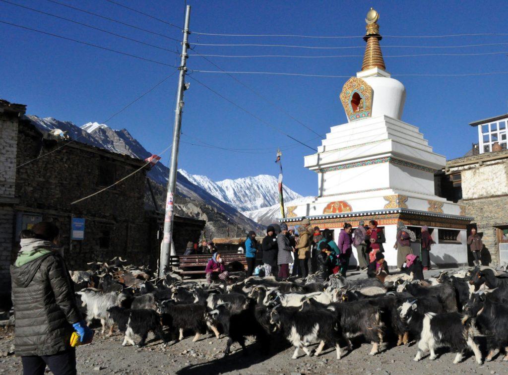 di buon mattino i consueti giri in senso orario attorno allo Stupa di Manang