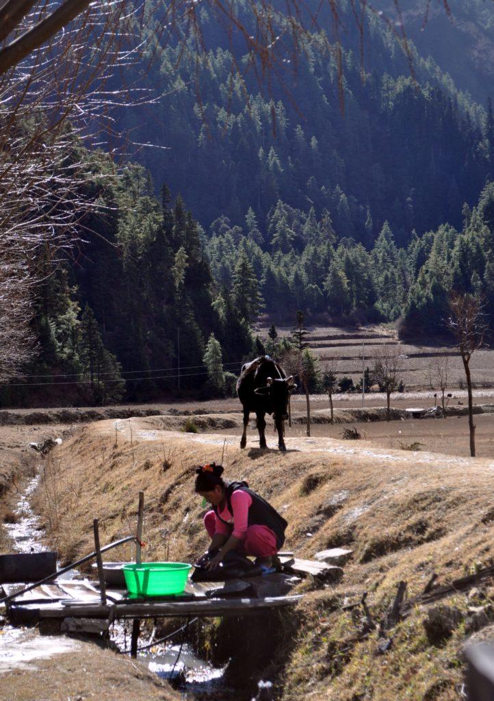 scene di vita rurale nepalese