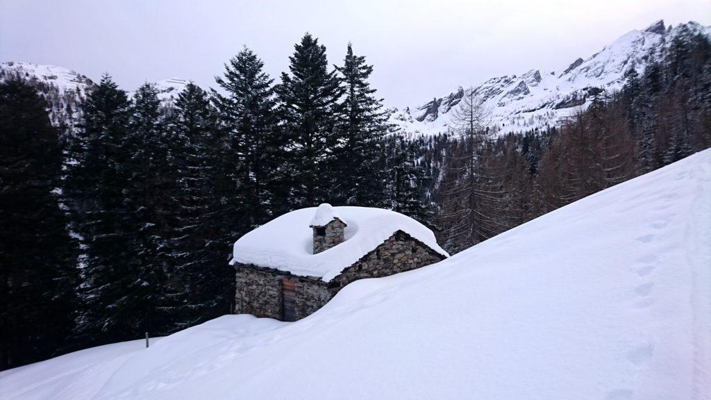 ci sono dai 5 ai 20 cm di fresca e noi siamo fiduciosi per la parte alta