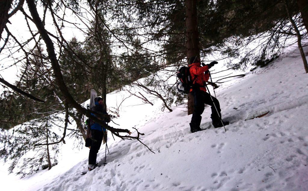 Il primo tratto nel bosco è a tratti ripido e con qualche passaggio non semplice. Pensiamo che al ritorno varrà la pena trovare una strada migliore