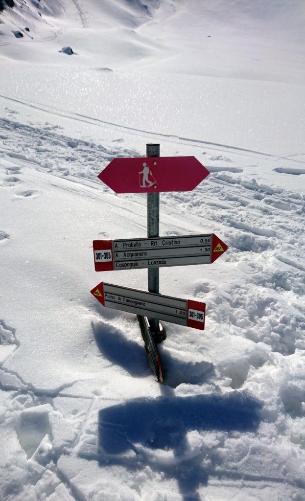 Niente neve quest&#039;anno! ;)