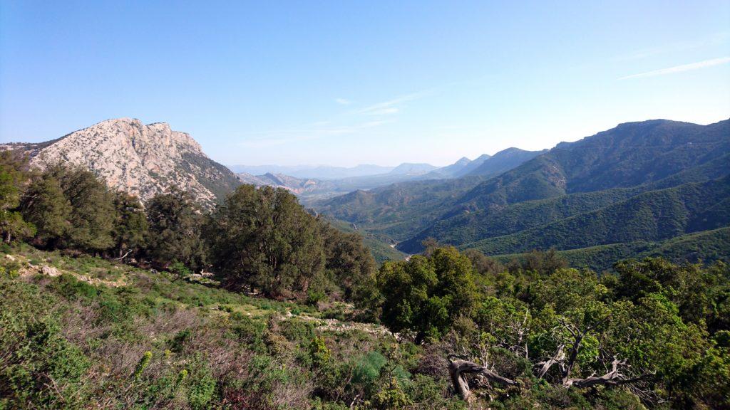 la vista lungo la Valle dell&#039;Oddeone: a destra la cresta del monte Oddeu