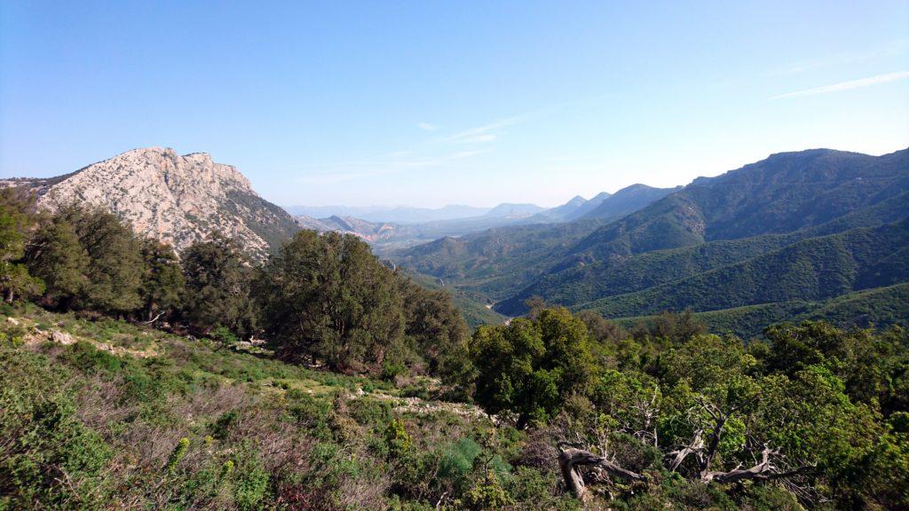 la vista lungo la Valle dell'Oddeone: a destra la cresta del monte Oddeu