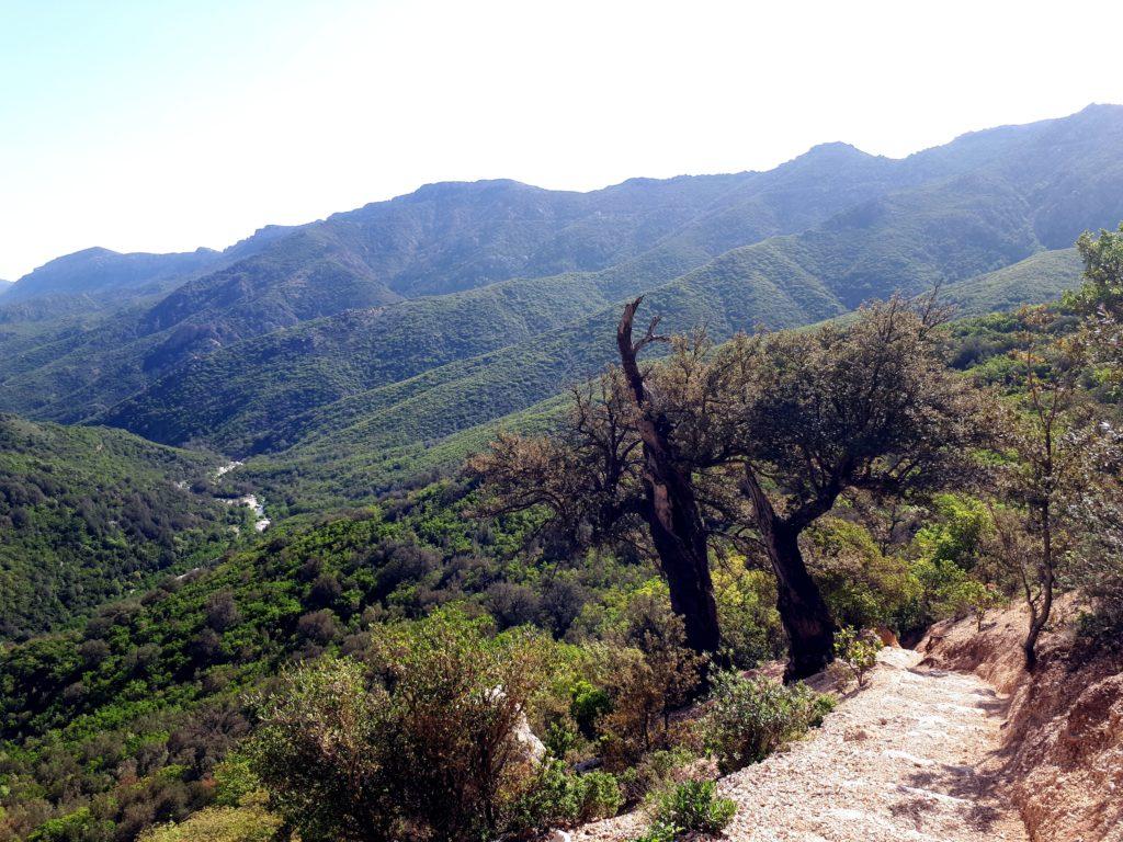 lungo il sentiero che parte dal Passo di Genna Silana