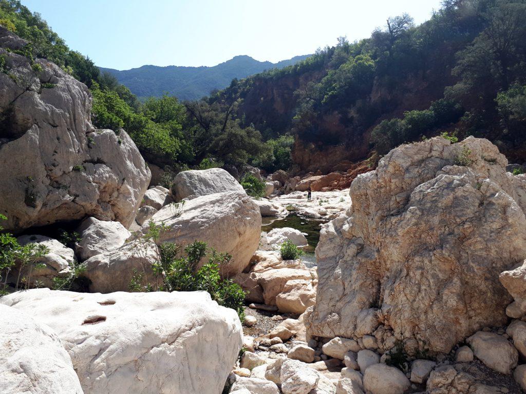 l&#039;imbocco del Canyon, con il Rio Flumineddu che sbuca in superficie