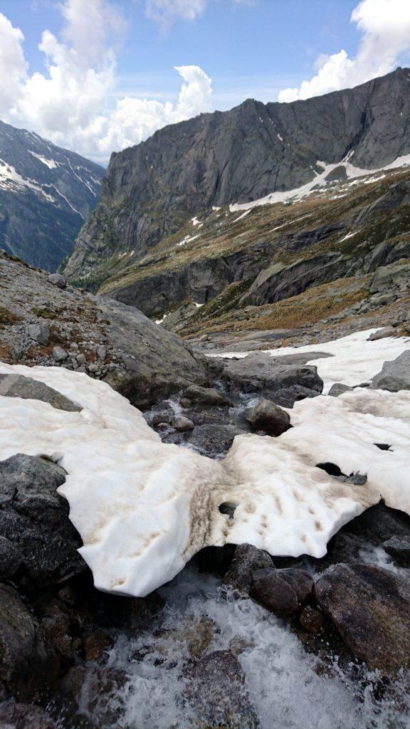 gli ultimi nevaietti in fase di scioglimento