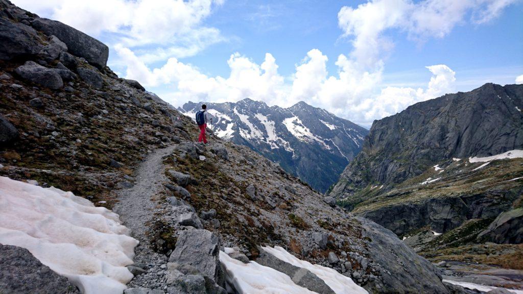 torniamo sui nostri passi