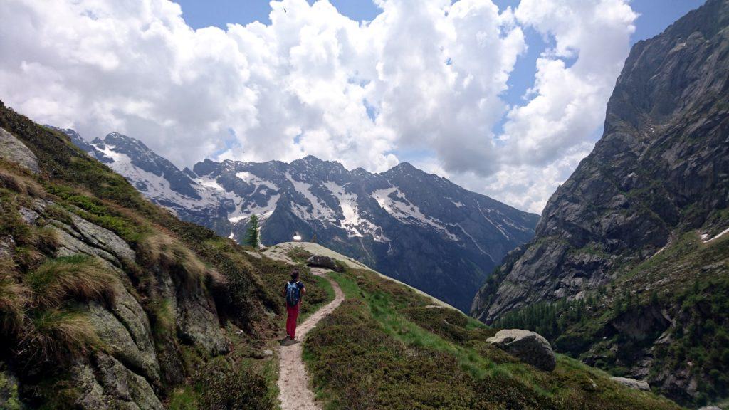 tra poco rientreremo nel bosco: ultimo sguardo alle cime dell&#039;opposto versante della Val di Mello