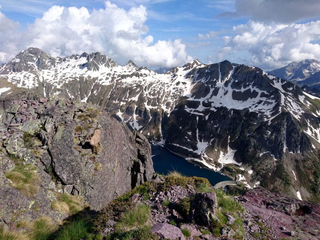 panorama (ma se guardate bene c'è anche lo stambecco che si fa i fatti suoi!)