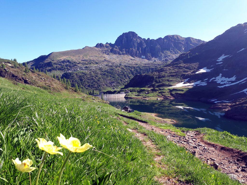 il lago e la diga vicino alla quale sorge il Rifugio Laghi Gemelli. Sullo sfondo il Pizzo del Becco, la nostra meta