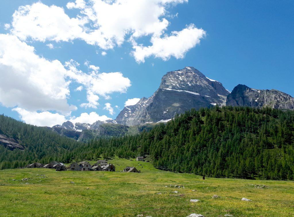 la piana dell'Alpe Veglia: ancora non hanno portato su le mucche... questione di giorni!