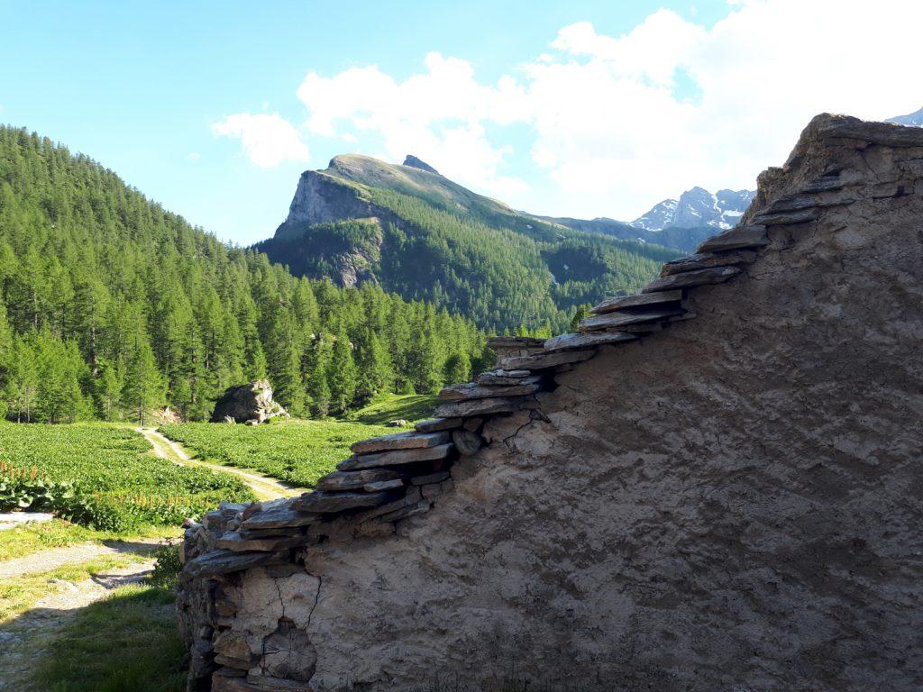 altro scorcio delle casette della Balma, guardando verso sud