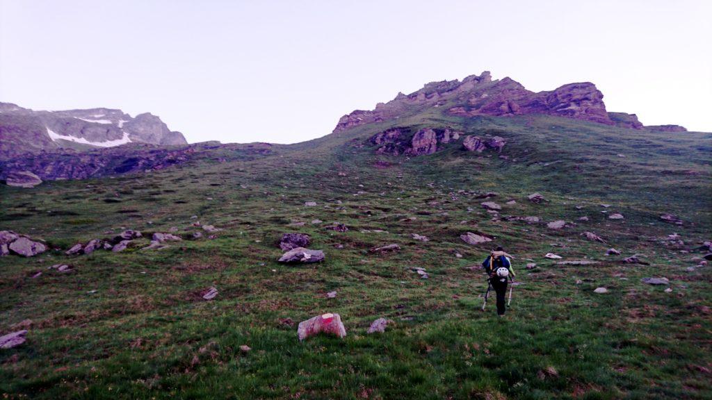 dopo aver ritrovato il sentiero giusto, risaliamo per prati fin sotto le roccette che si vedono più in alto