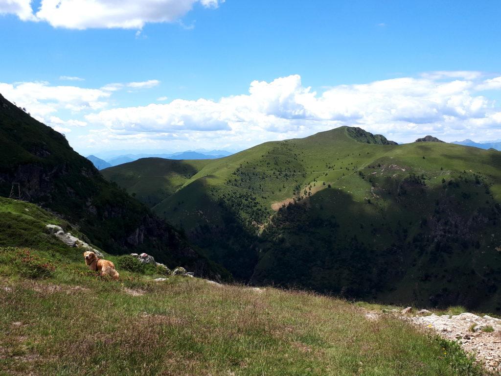 l'altro versante della Val Biandino