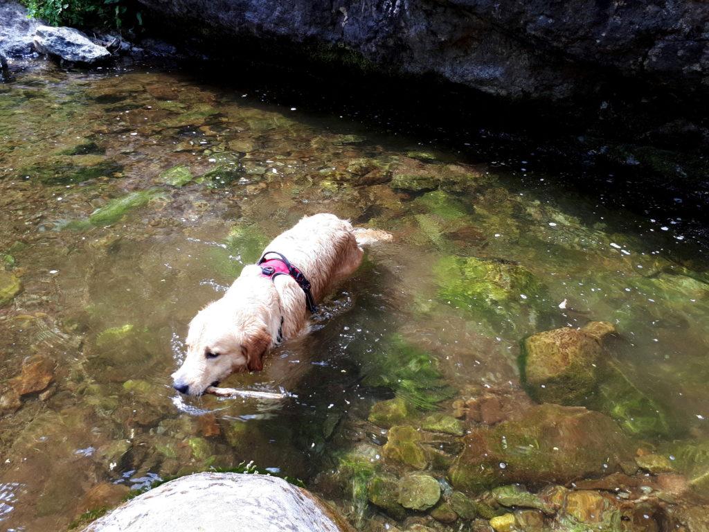 giochi d&#039;acqua