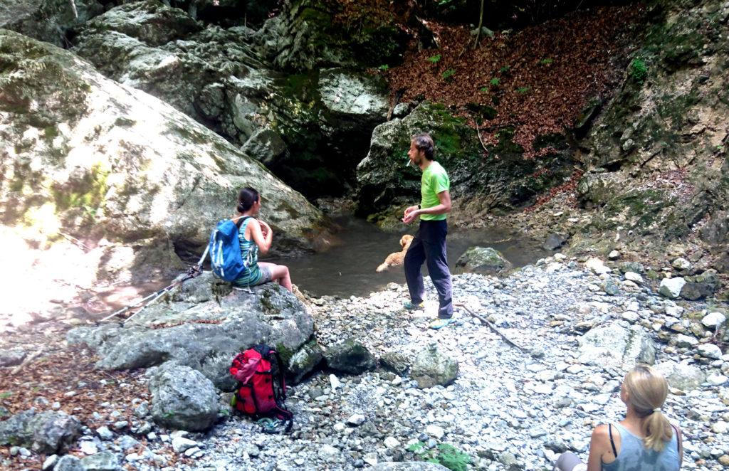 pausa bagno per l'amico peloso! Il sentiero passa accanto ad un torrente, ormai quasi in secca soprattutto nella parte alta