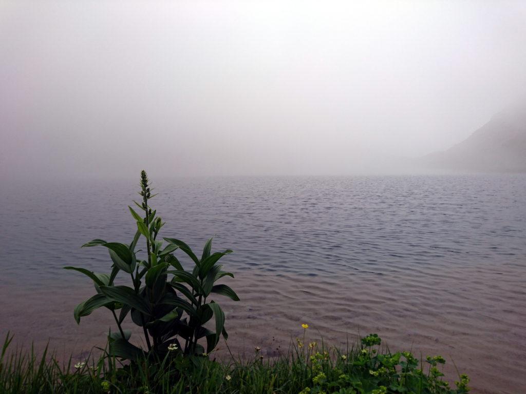 A valle le nuvole fanno da padrone. Vista del lago Fiorenza tra le nubi