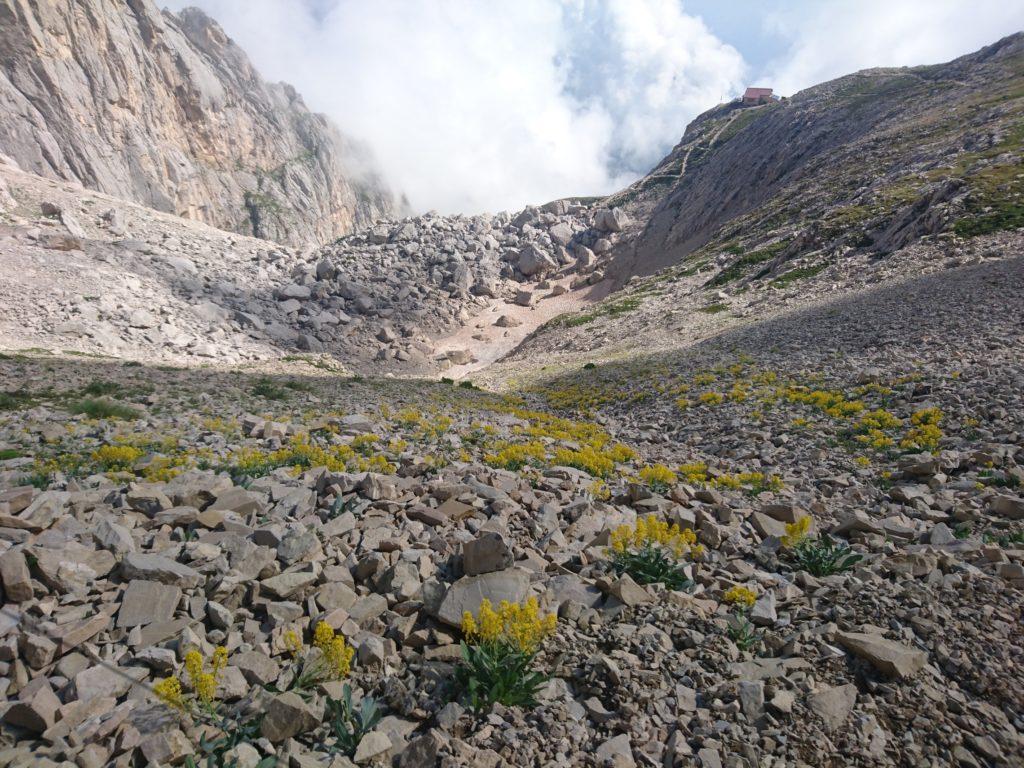 tempo di mollare un po' di attrezzatura e iniziamo a salire verso il Passo dei Due Corni, a 10 minuti dal Franchetti