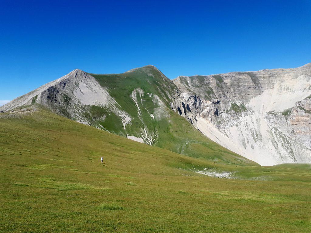 i declivi erbosi che caratterizzano il Monte Vettore