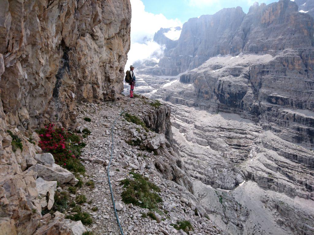 la cengia lungo la quale passa la Via Normale, colonizzata dai rododendri!