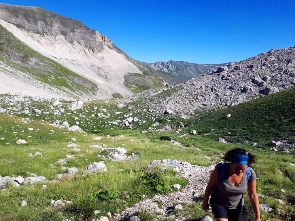 il sentiero si snoda tra prati e dolci declivi erbosi