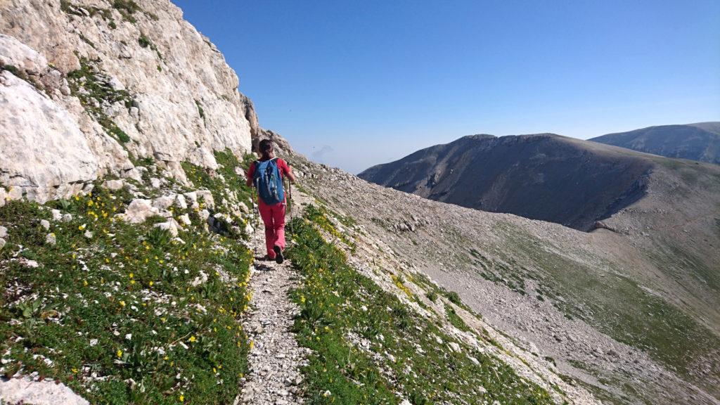 il cammino che ci aspetta: la meta è ancora molto lontana