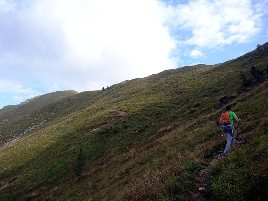 dalla baita si sale poi per prati fino a raggiungere il passo del Monte Colle