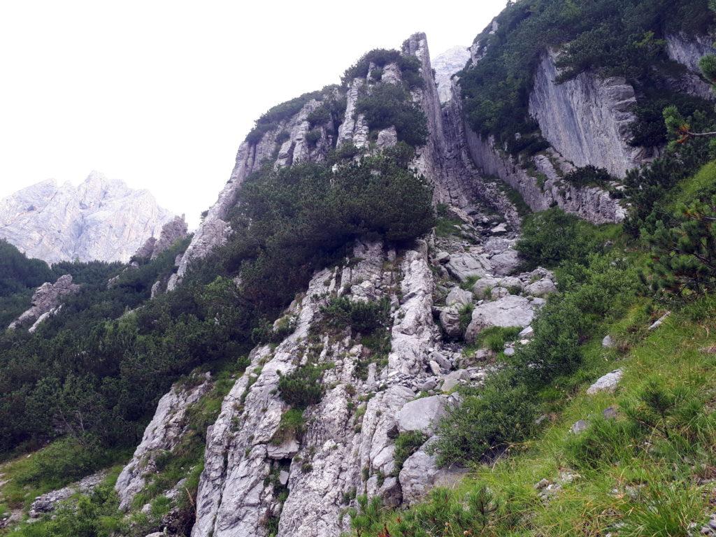 qui la montagna regala uno scivolo naturale che con la neve dev'essere fantastico!