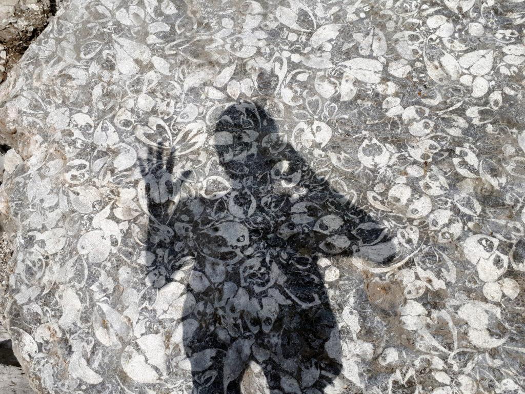l&#039;incredibile masso pieno di fossili del Vallon con l&#039;ombra di Erica che dà un riferimento dimensionale