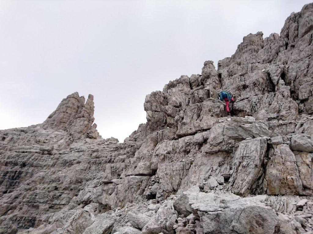 Erica sulle roccette finali che portano all'anticima della cima Molveno