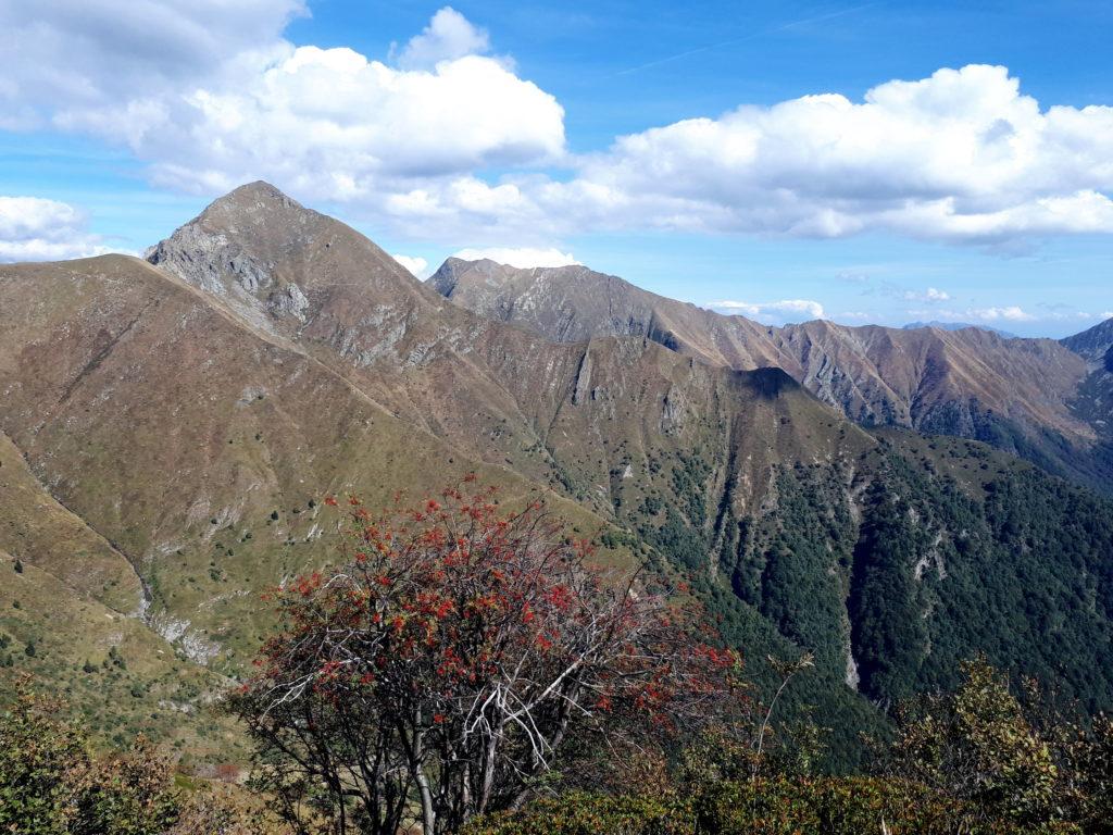 in alto a sinistra, il passo di Basagrana, che raggiungeremo il giorno seguente