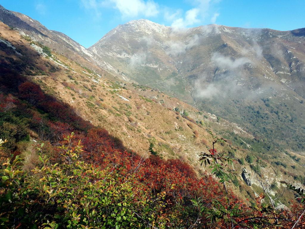 ci aspetta un lungo traverso fino al passo ben visibile in alto a destra della foto