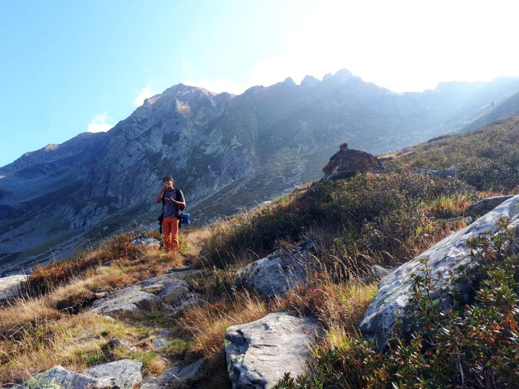 ma saremo sempre fermi: questo posto è letteralmente costellato di rododendri e piante di mirtilli!!